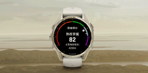 11狂欢记录你的每一次精彩突破！马竞合作伙伴佳明智能运动手表双(图10)