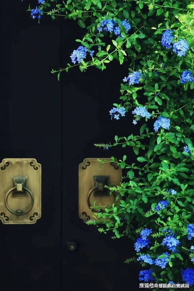 桃李西径里神户型的静奢生活【惊喜】桃李西径里售楼处：(图8)